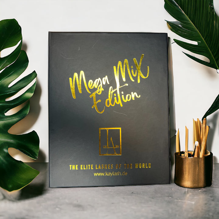 MEGA MIX EDITION